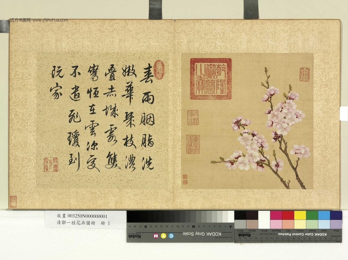 清_邹一桂_花卉图册册　杏花